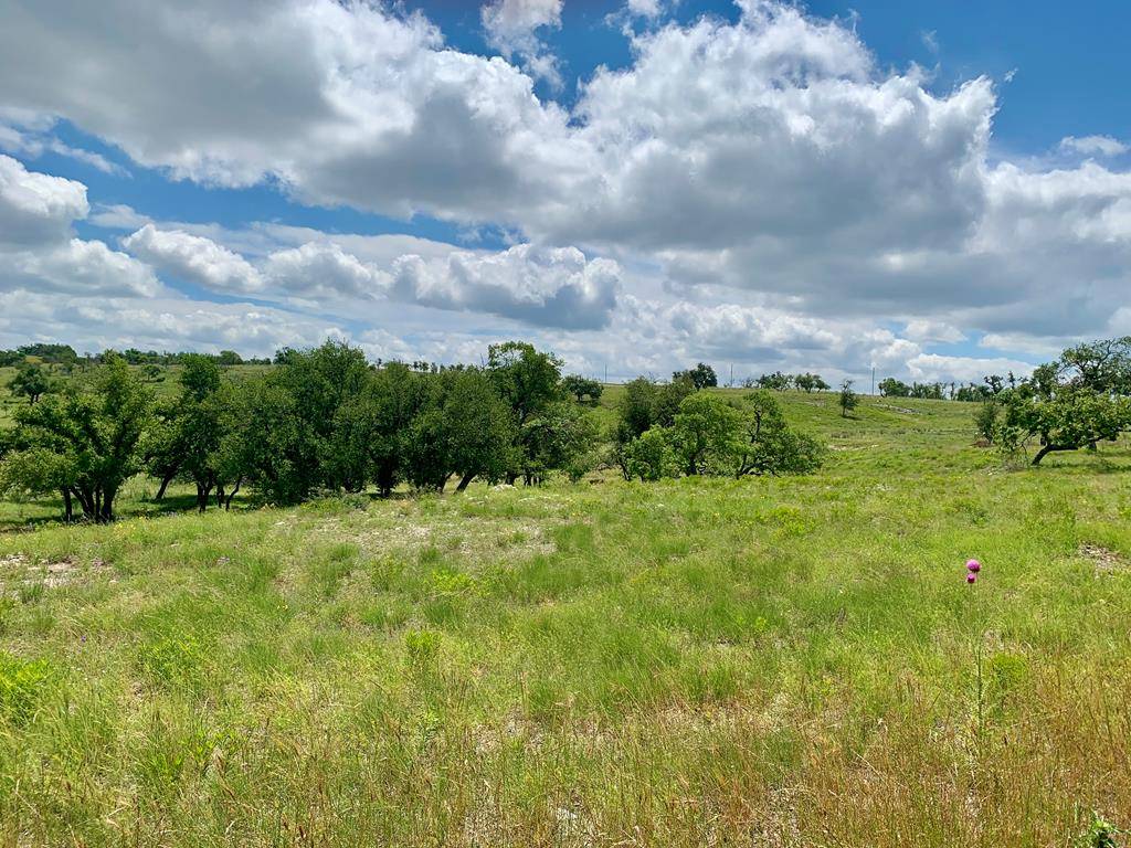 Fredericksburg, TX 78624,Lot 14 -- Badger Ridge Rd