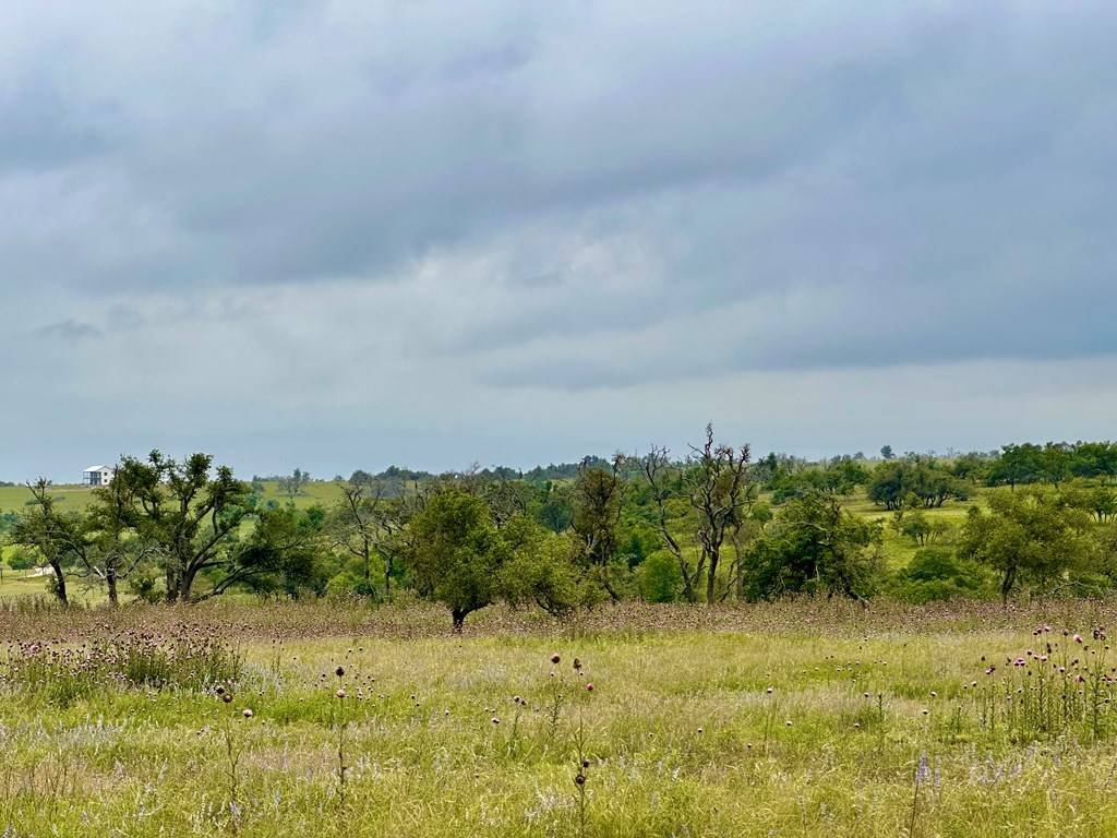 Fredericksburg, TX 78624,Lot 54 -- Badger Ridge Rd