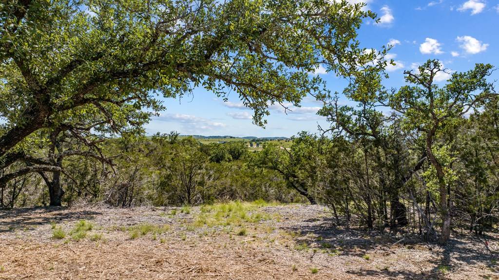 Johnson City, TX 78636,Lot 4 -- Sunset View Ct