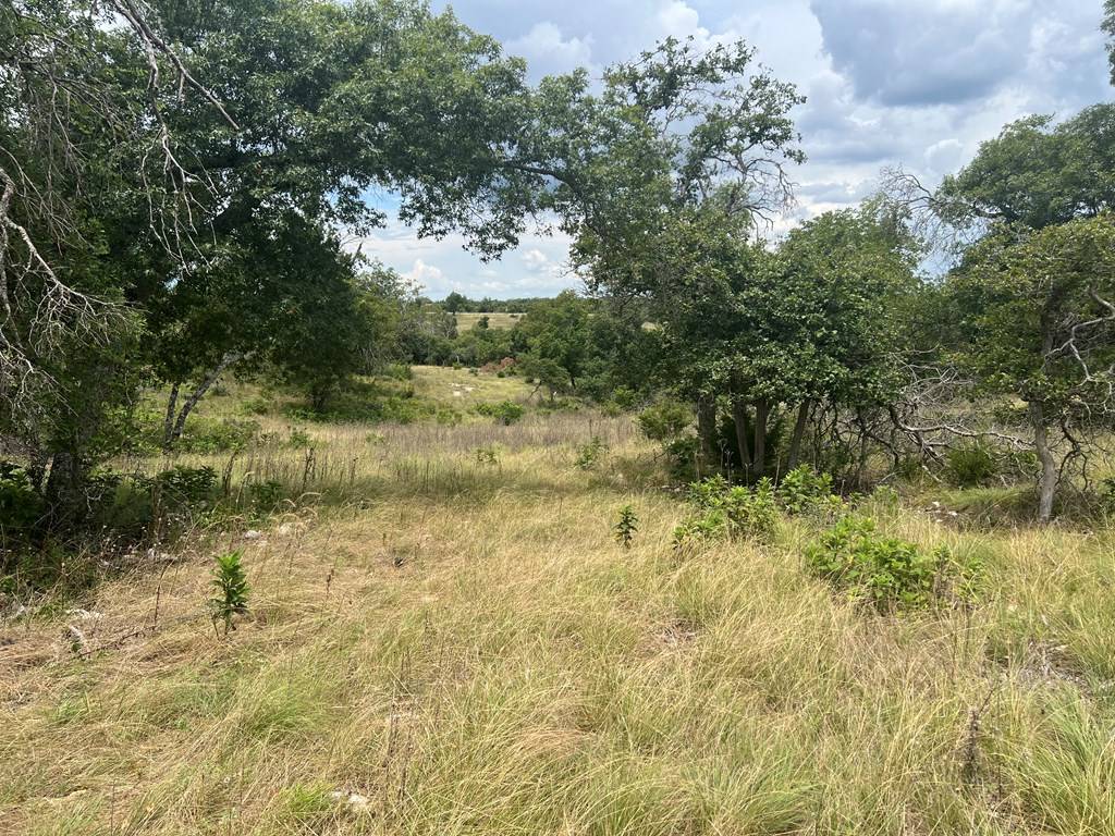 Fredericksburg, TX 78624,Lot 23 -- Ridgeline Rd