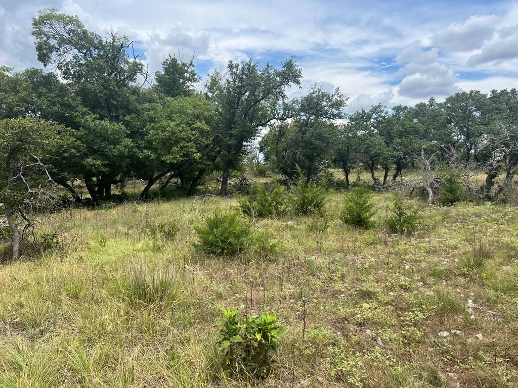 Fredericksburg, TX 78624,Lot 23 -- Ridgeline Rd