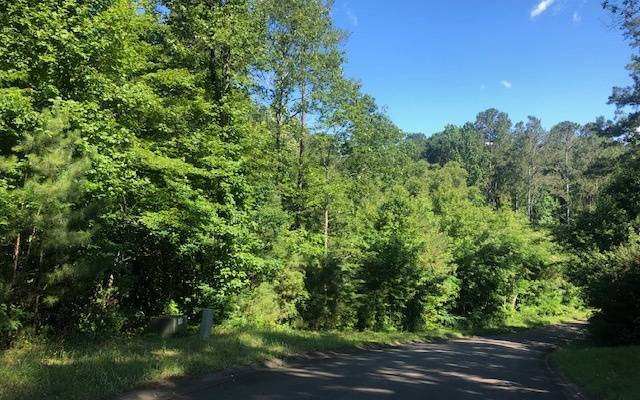 Ellijay, GA 30540,LT 48 Old South Farms Drive