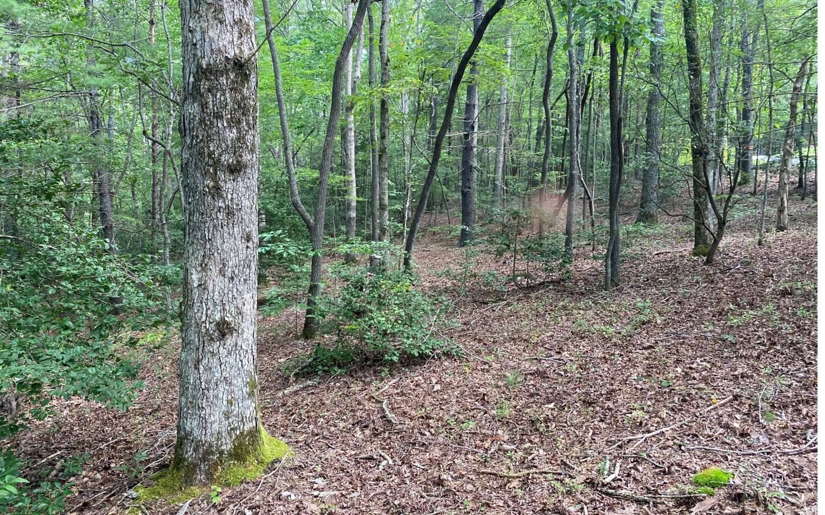 Blairsville, GA 30512,LOT 3 Liberty Church Lane