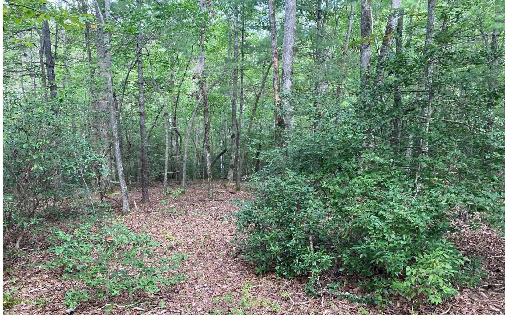 Blairsville, GA 30512,LOT 3 Liberty Church Lane