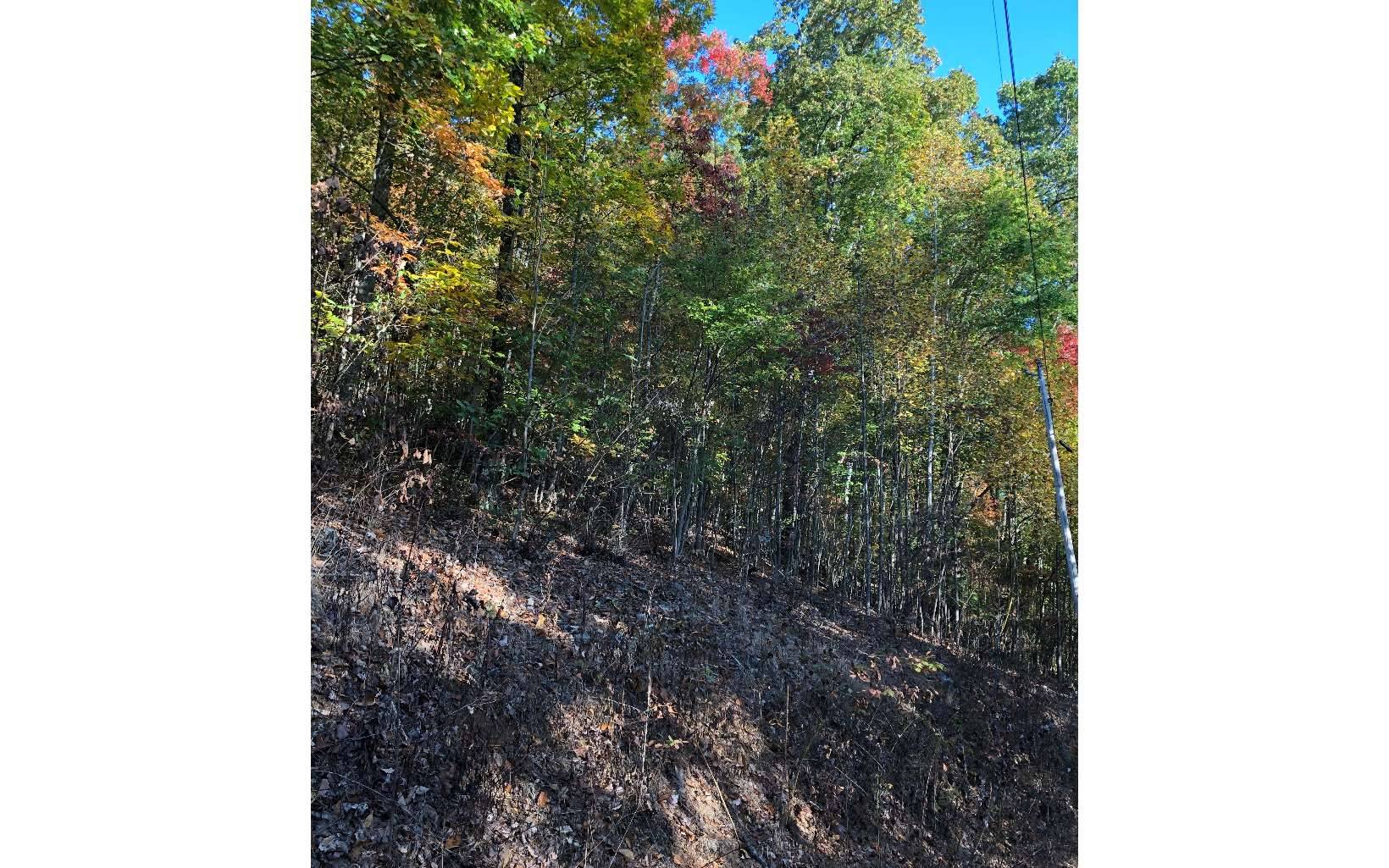 Young Harris, GA 30582,LOT27 True Love Mountain Road