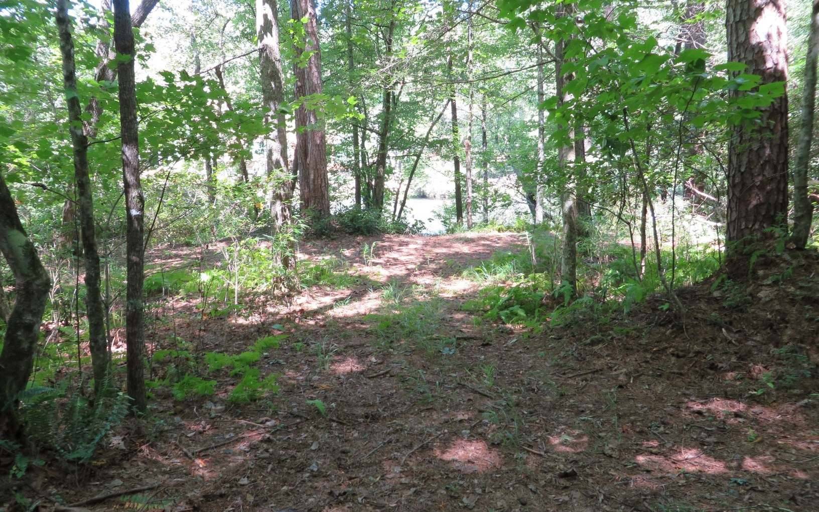 Mineral Bluff, GA 30559,LT 45 Coldwater Creek Trail