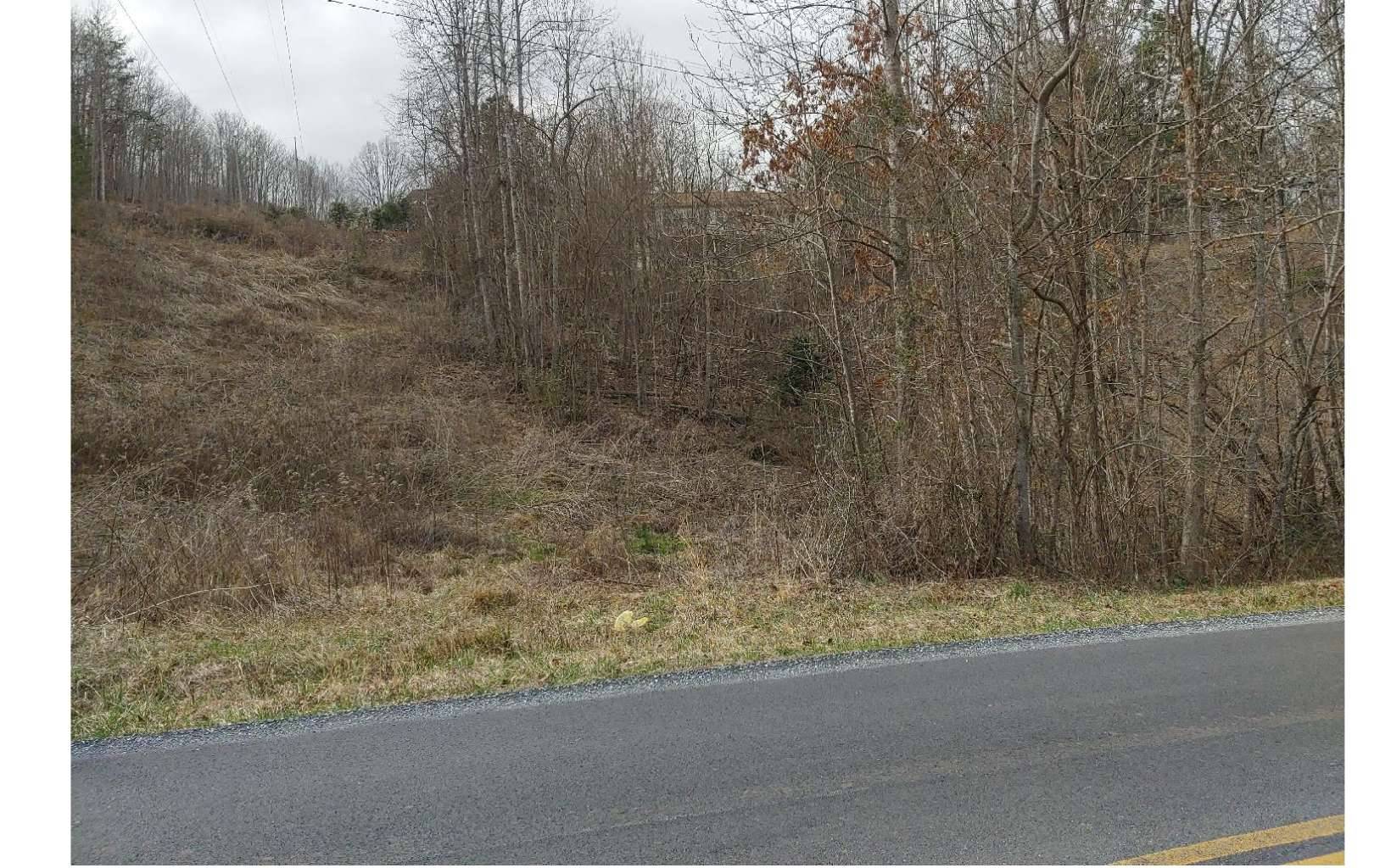 Hiawassee, GA 30546,LOT 5 Ramey Mountain Road