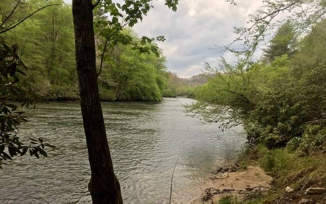 Mineral Bluff, GA 30559,84 Coldwater Creek Drive