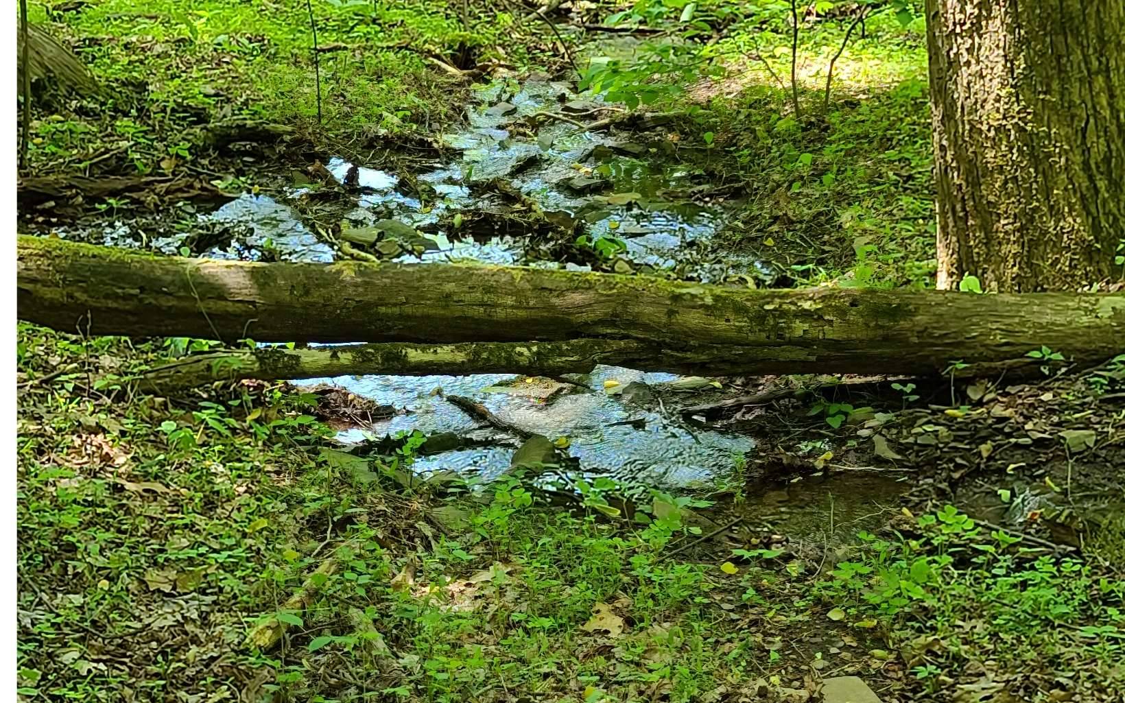 Cherry Log, GA 30522,0 Laurel Creek Road