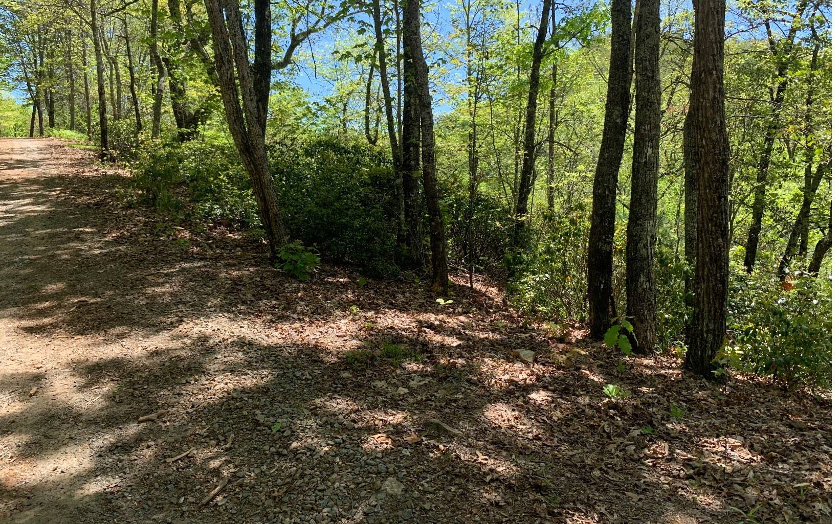 Hayesville, NC 28904,LT22B Winchester Cove