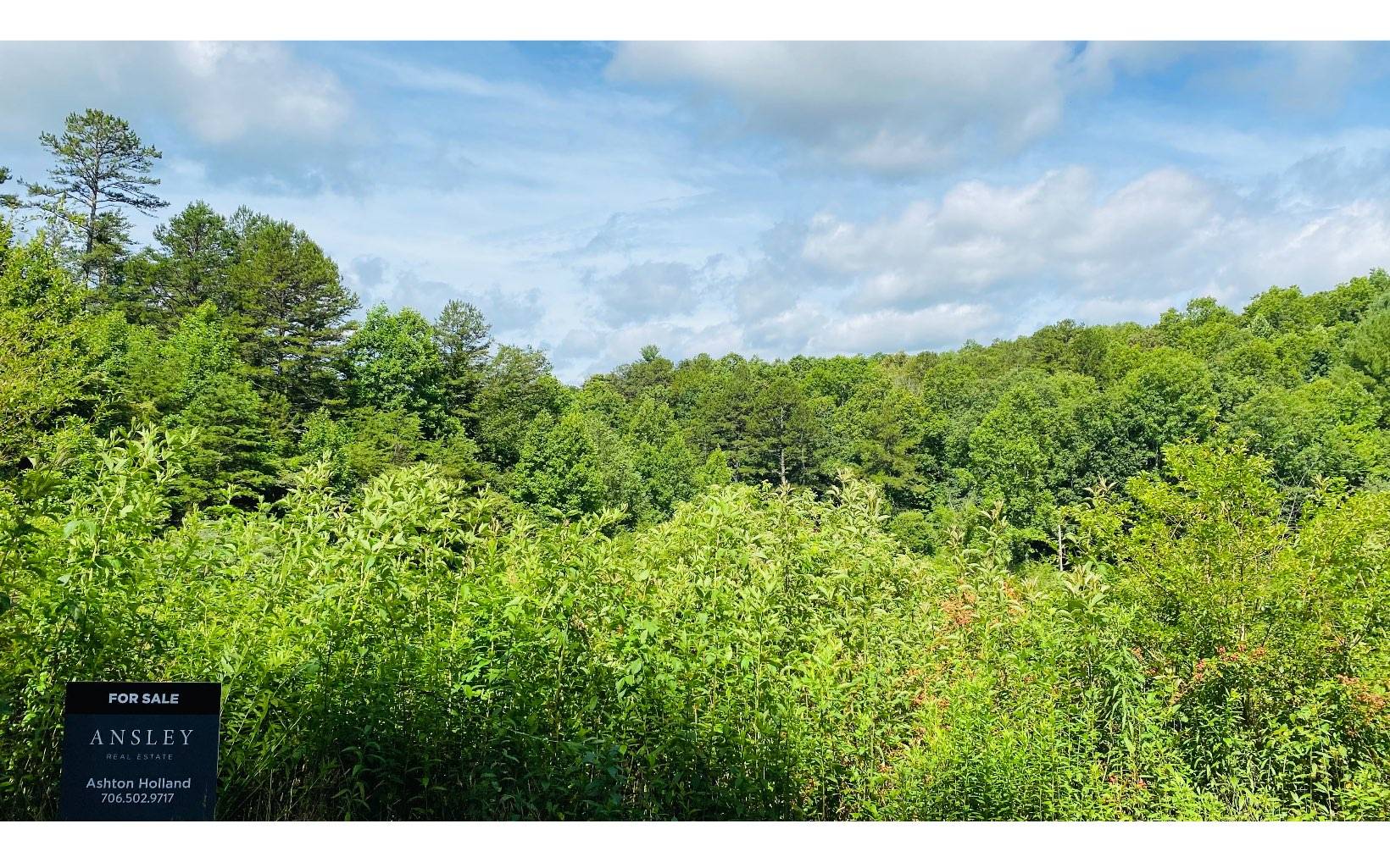 Morganton, GA 30560,LOT 4 High Meadows