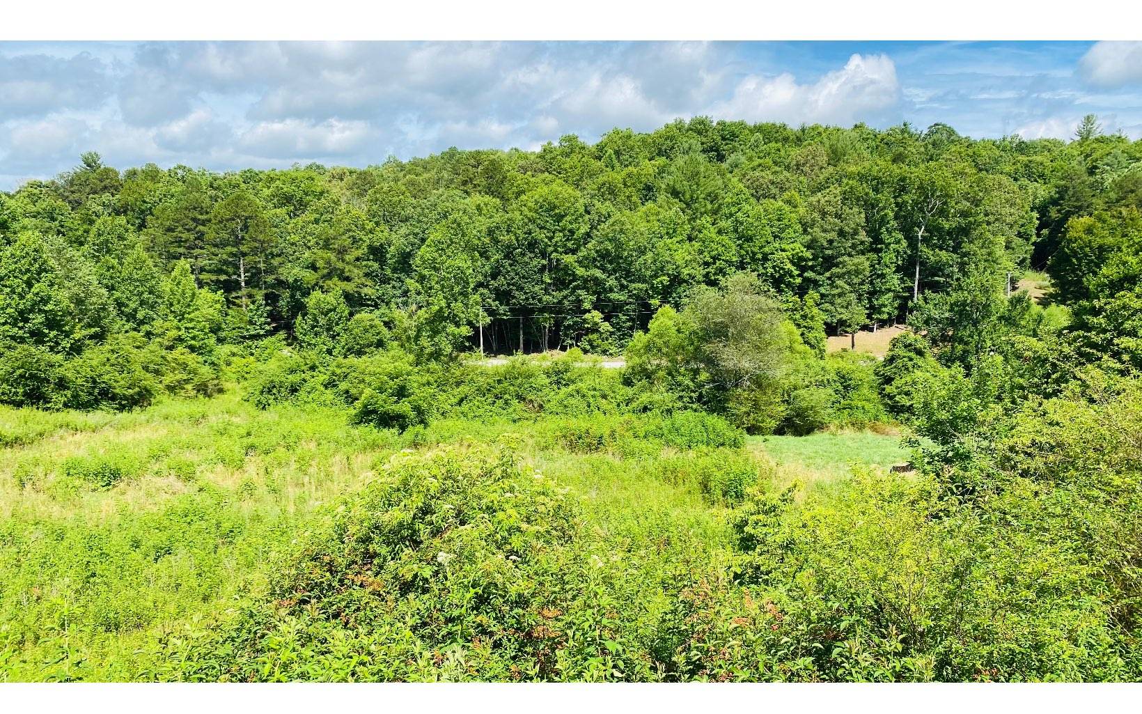 Morganton, GA 30560,LOT 4 High Meadows