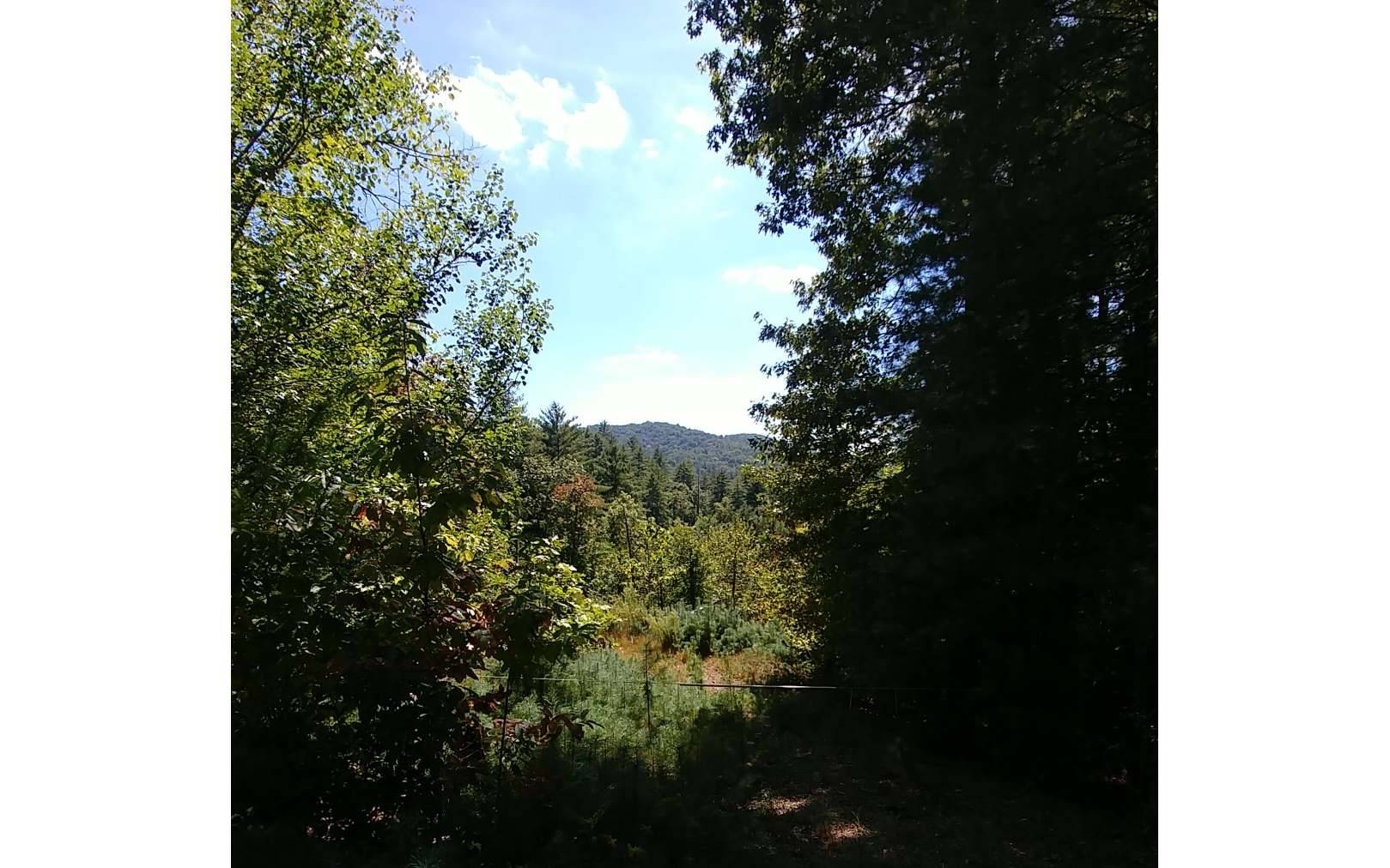 Suches, GA 30572,94 Cooper Creek Drive