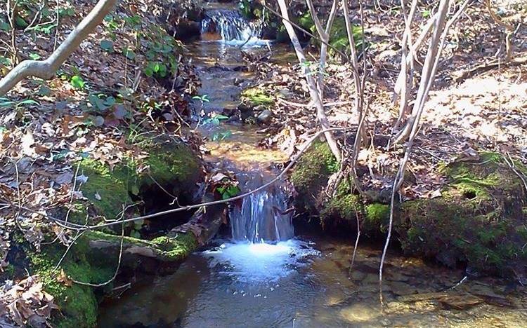 Jasper, GA 30143,LT158 Cold Stream Trail