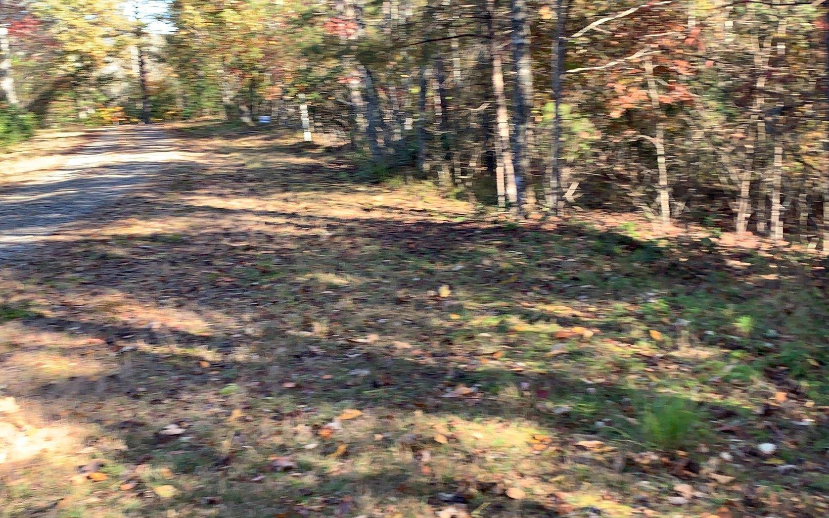 Warne, NC 28909,2B Ashley Trail