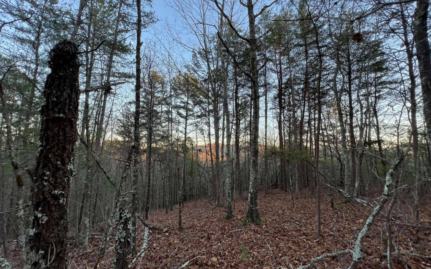 Mineral Bluff, GA 30559,LOT10 Crabapple Lane