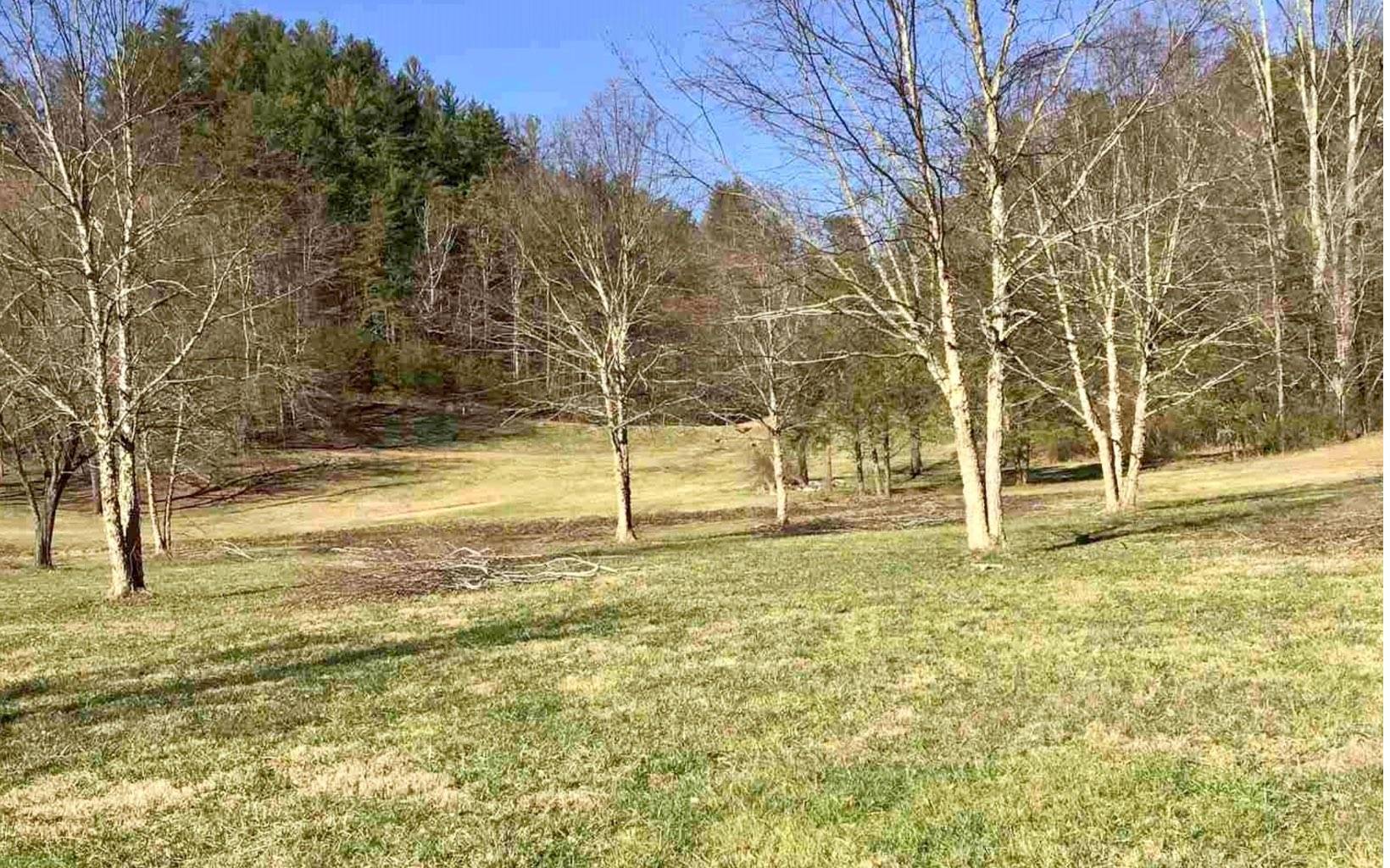 Rabun Gap, GA 30568,0 Green Meadows Drive