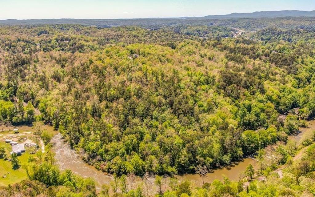 Ellijay, GA 30540,LT 76 Bluffs Of Cartecay