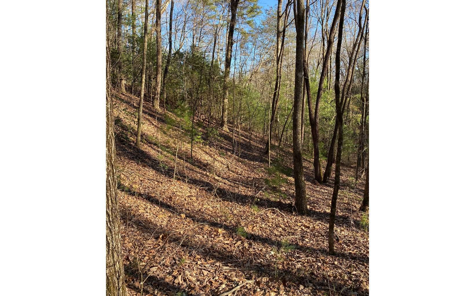 Ellijay, GA 30540,LOT24 Essex Drive