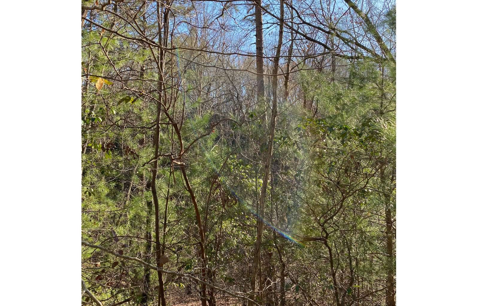 Ellijay, GA 30540,LOT24 Essex Drive