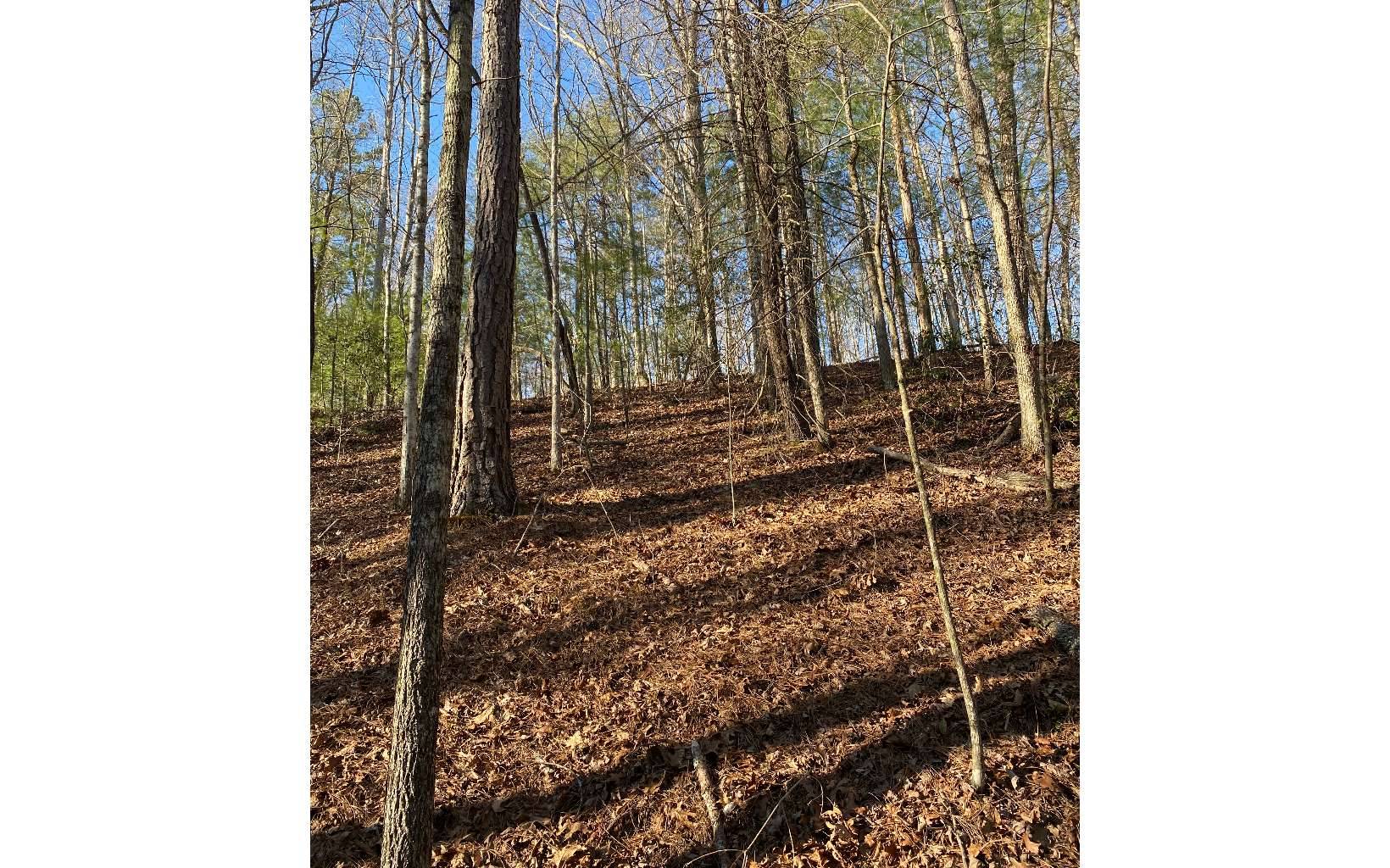 Ellijay, GA 30540,LOT24 Essex Drive