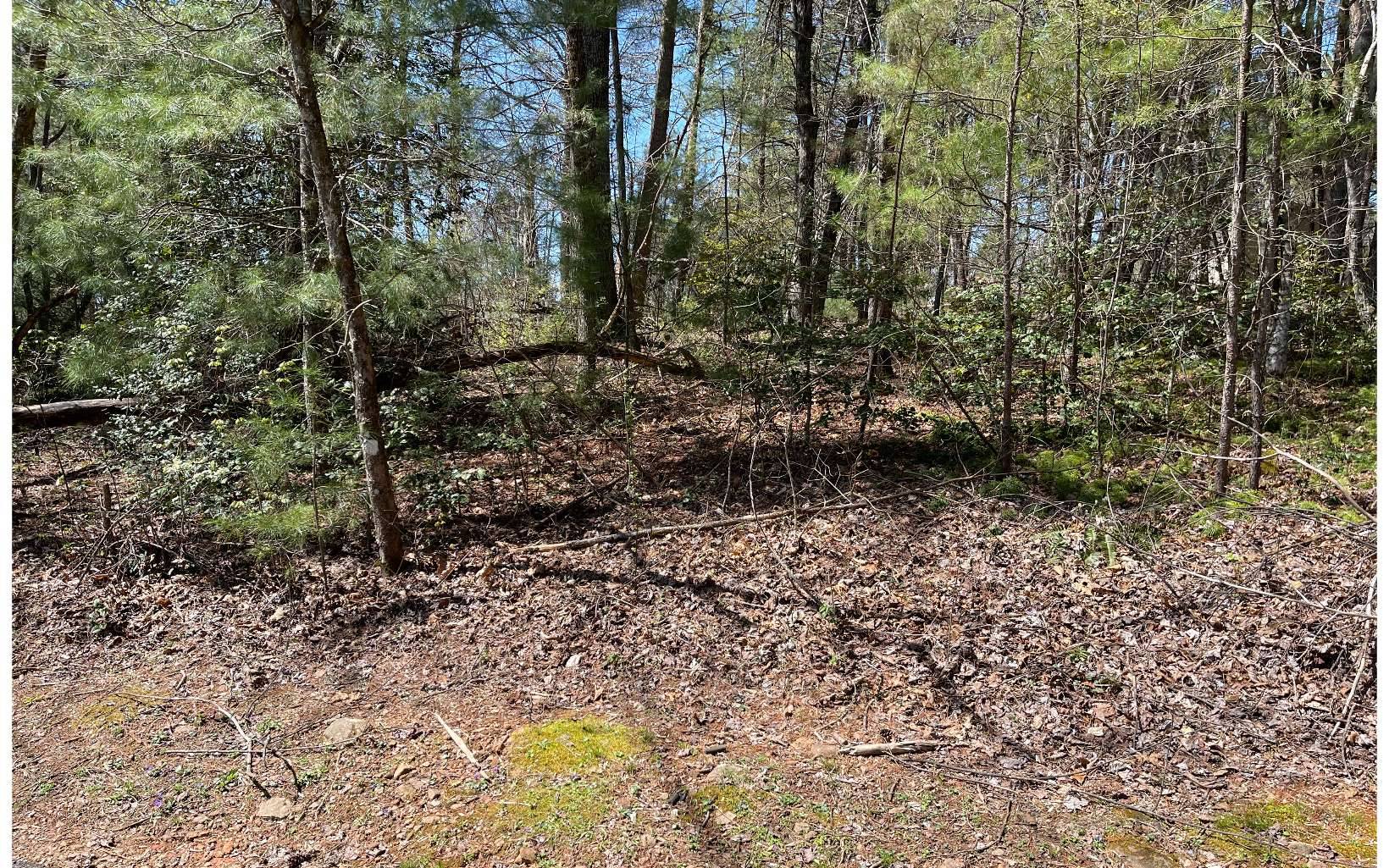 Hayesville, NC 28904,LOT4E The Woodlands