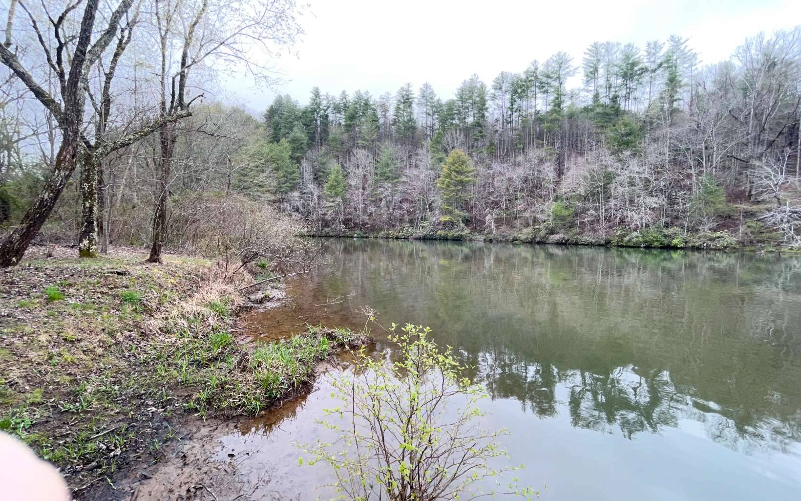 Hayesville, NC 28904,LOT 5 Trillium Heights