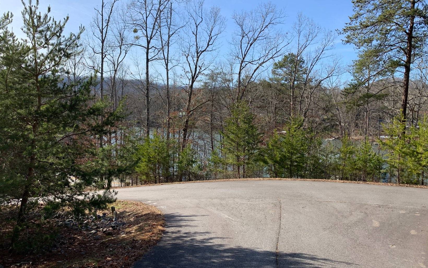 Hiawassee, GA 30546,15 Sweetwater Cove Road