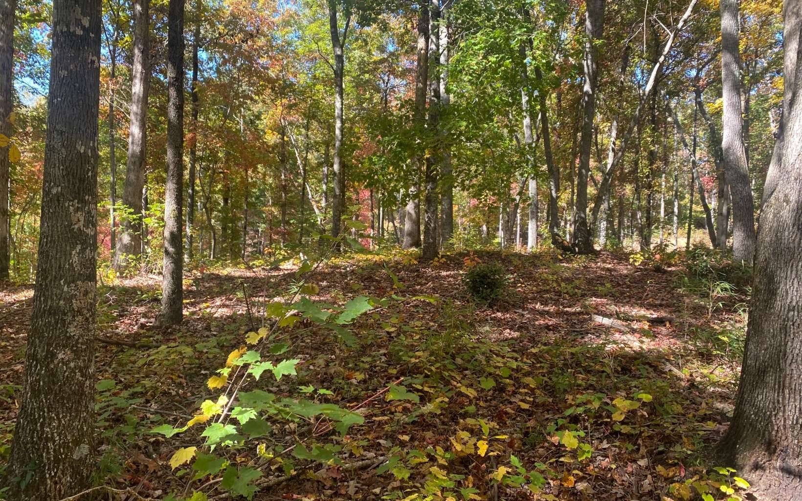 Ellijay, GA 30540,Lot 179R Overlook Dr