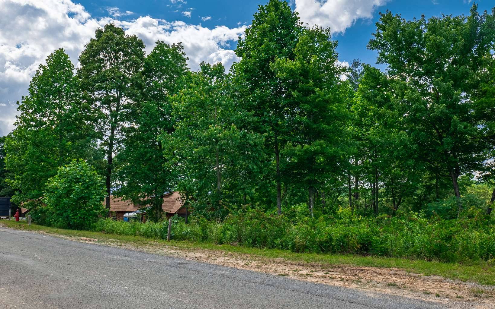 Mineral Bluff, GA 30559,LT212 Old Toccoa Farm Loop