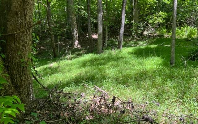 Warne, NC 28909,LOT5 Pine Ridge Drive