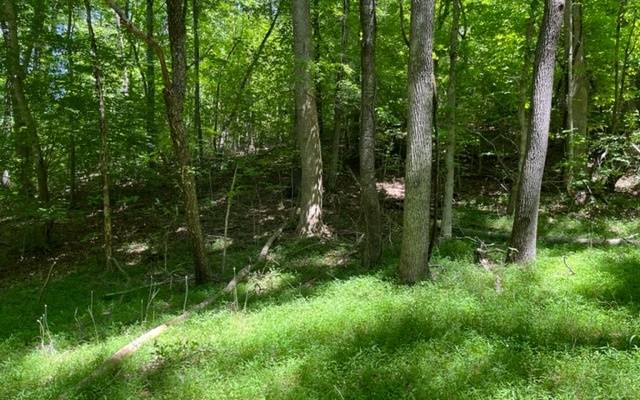 Warne, NC 28909,LOT5 Pine Ridge Drive