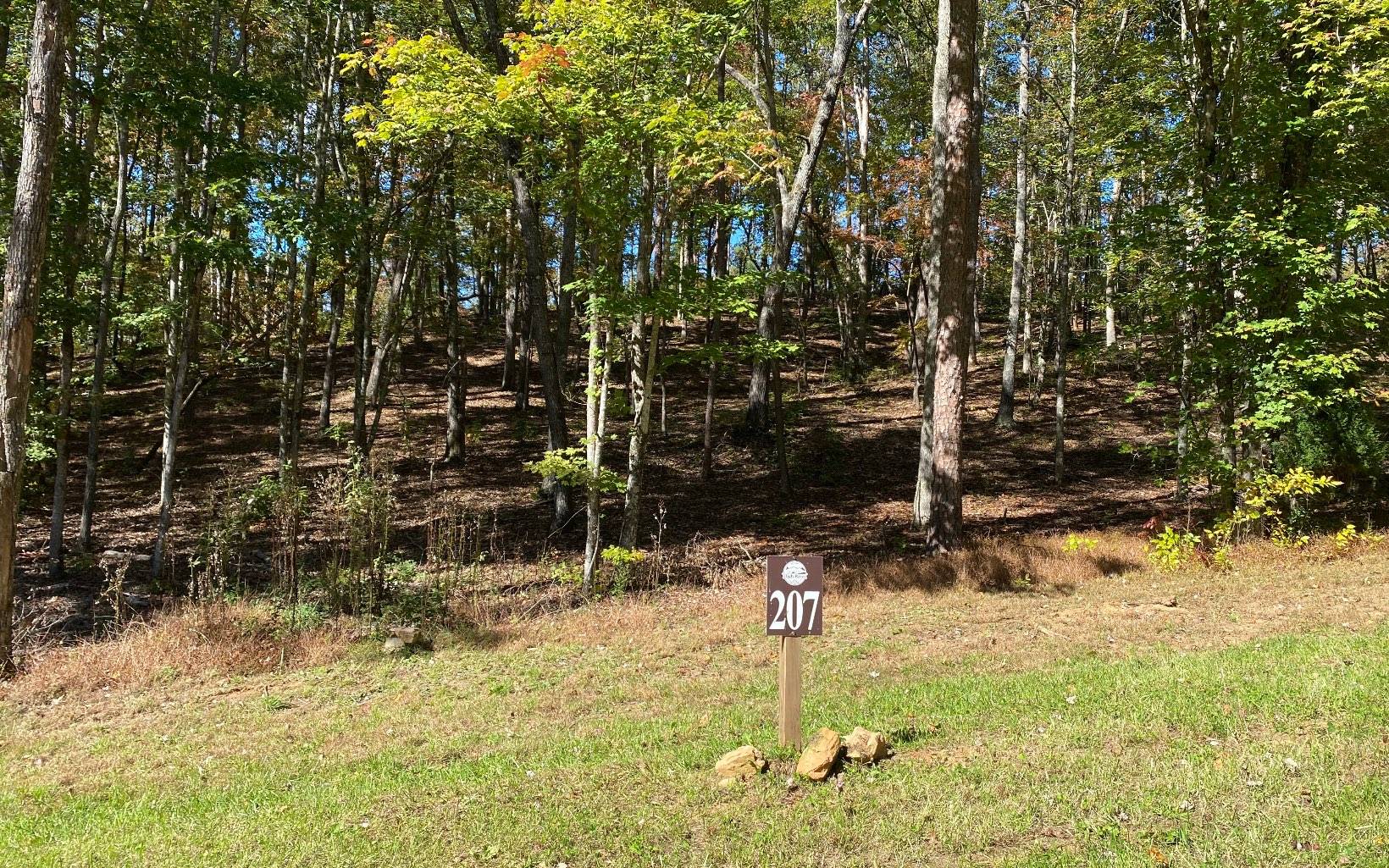 Ellijay, GA 30540,366 Pinnacle Dr. Lot 207