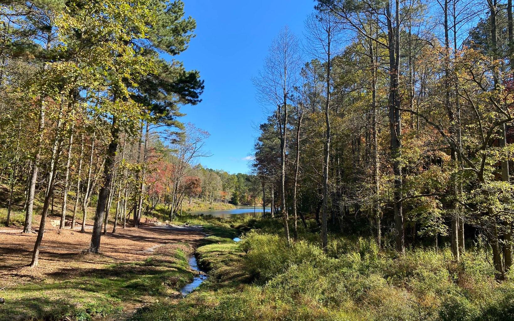 Ellijay, GA 30540,366 Pinnacle Dr. Lot 207