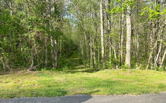 East Ellijay, GA 30540,38+AC Ridgehaven Trail