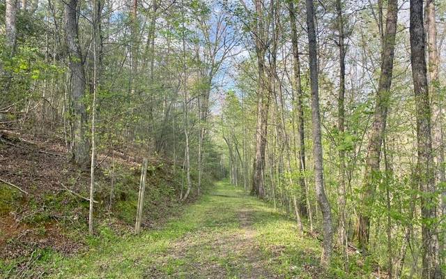 East Ellijay, GA 30540,38+AC Ridgehaven Trail