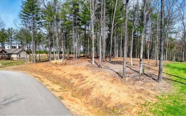 Blairsville, GA 30512,LOT 5 Highland Park