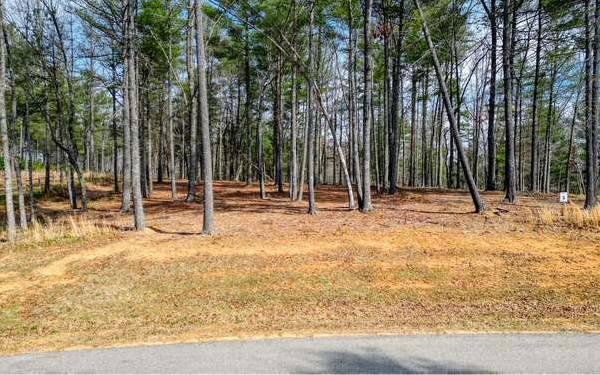 Blairsville, GA 30512,LOT 5 Highland Park