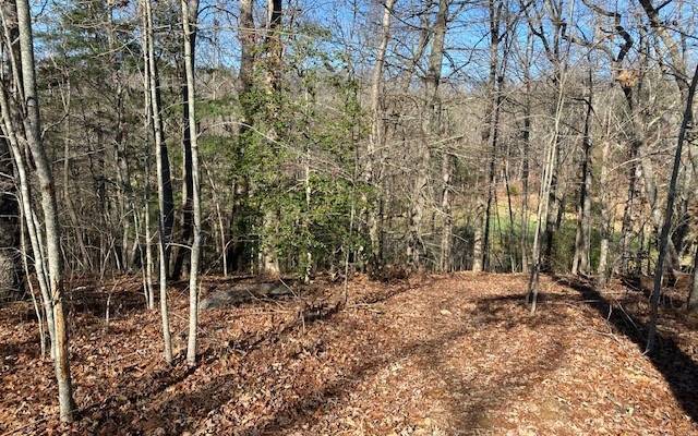 Mineral Bluff, GA 30559,LT140 Old Toccoa Farm Loop