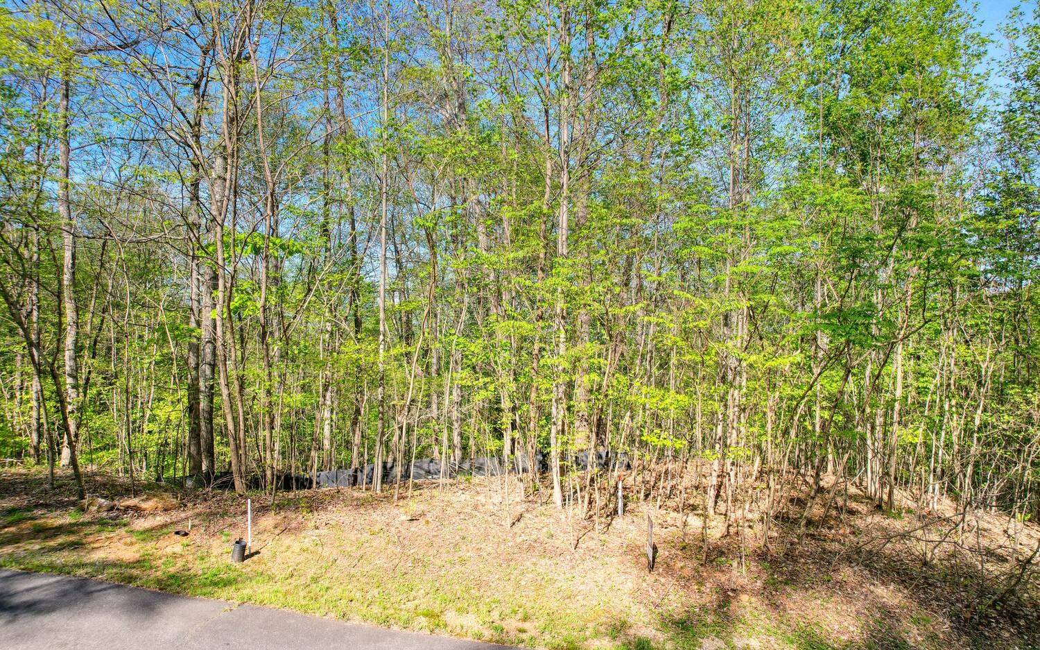 Young Harris, GA 30582,LOT 4 Overlook At Young Ha