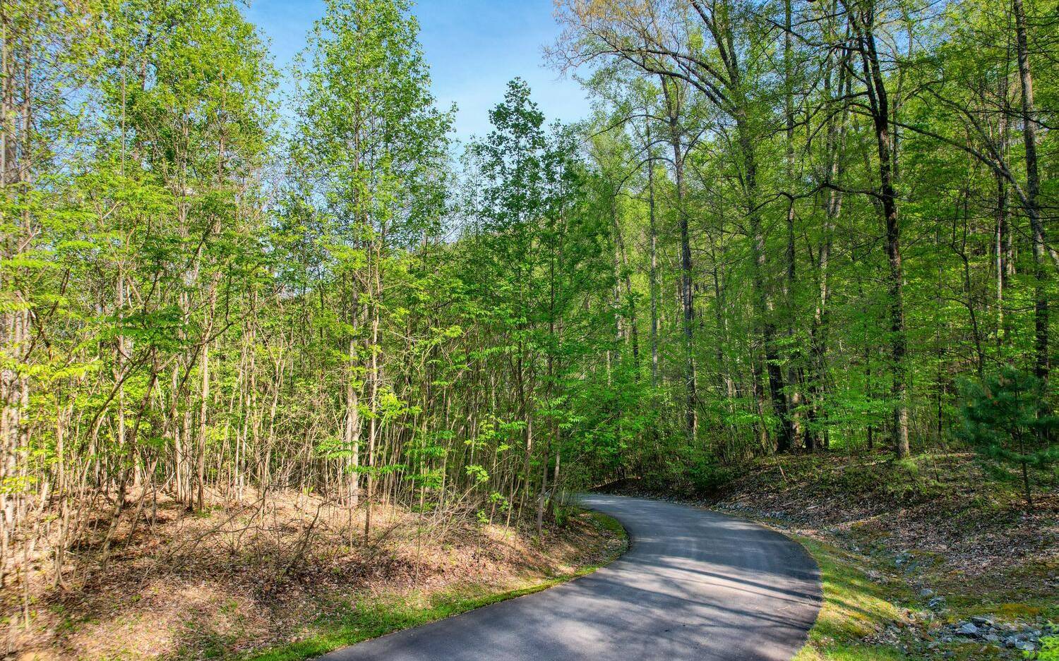 Young Harris, GA 30582,LOT 4 Overlook At Young Ha