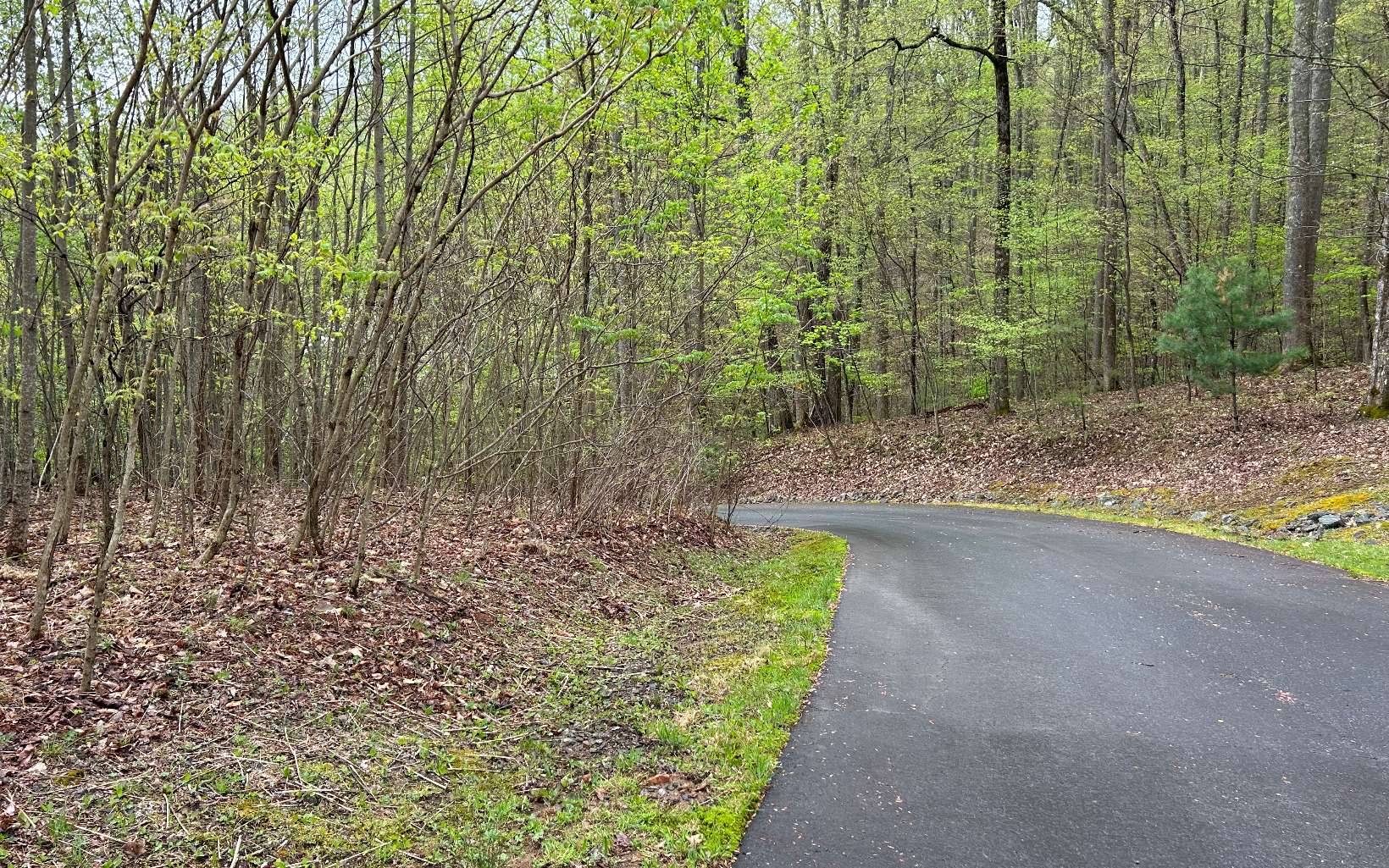 Young Harris, GA 30582,LOT 4 Overlook At Young Ha