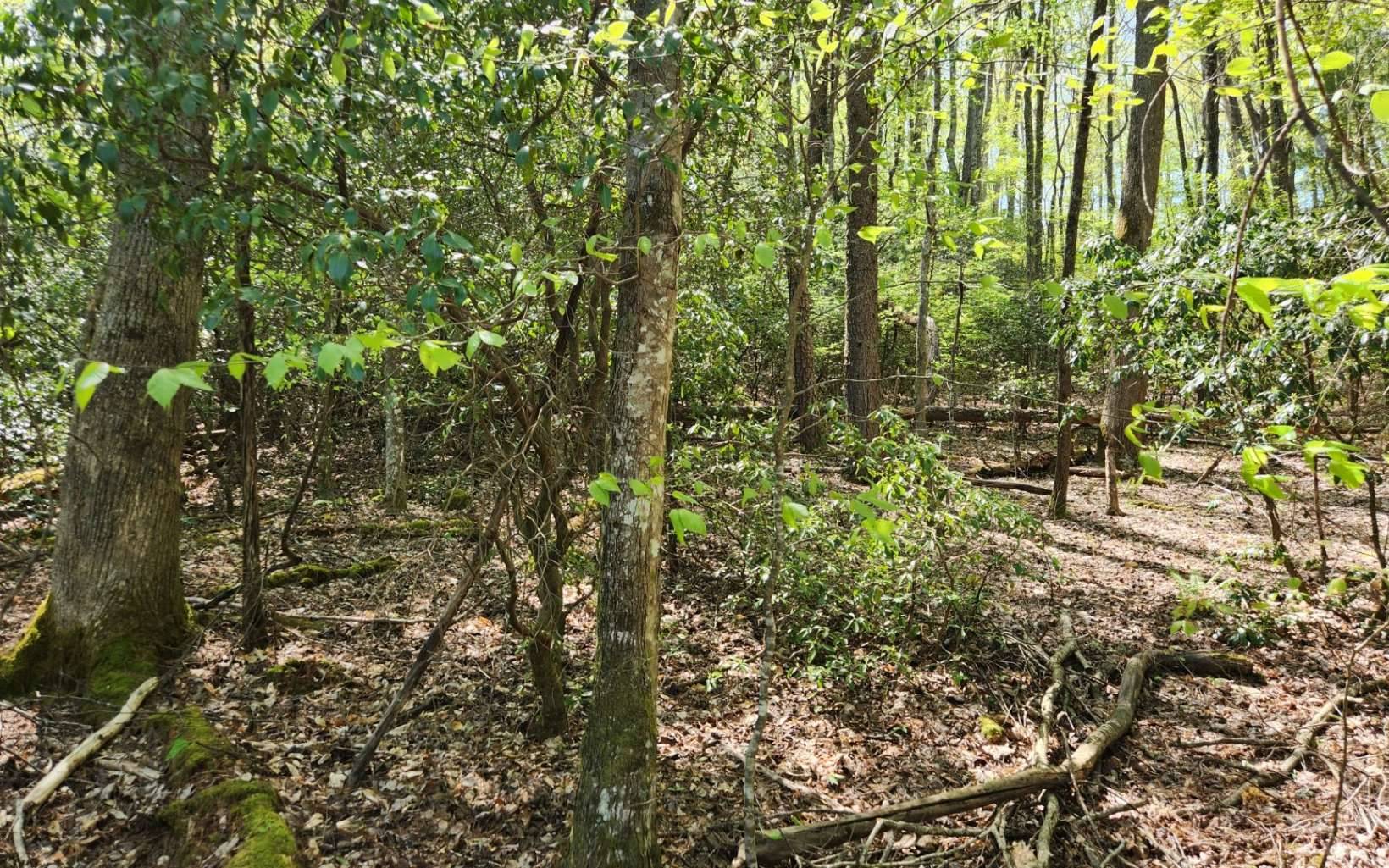 Blairsville, GA 30512,Lot 24 Mull Ln