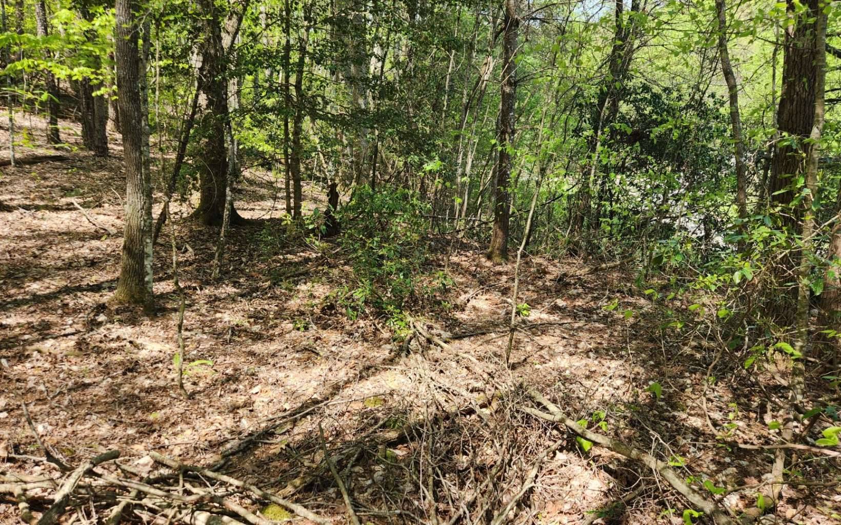 Blairsville, GA 30512,Lot 24 Mull Ln