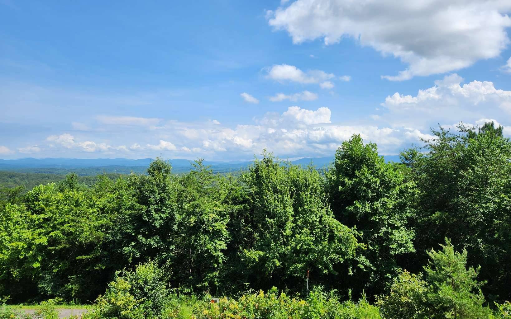 Blue Ridge, GA 30513,0 Lookout Dr. Lot 30