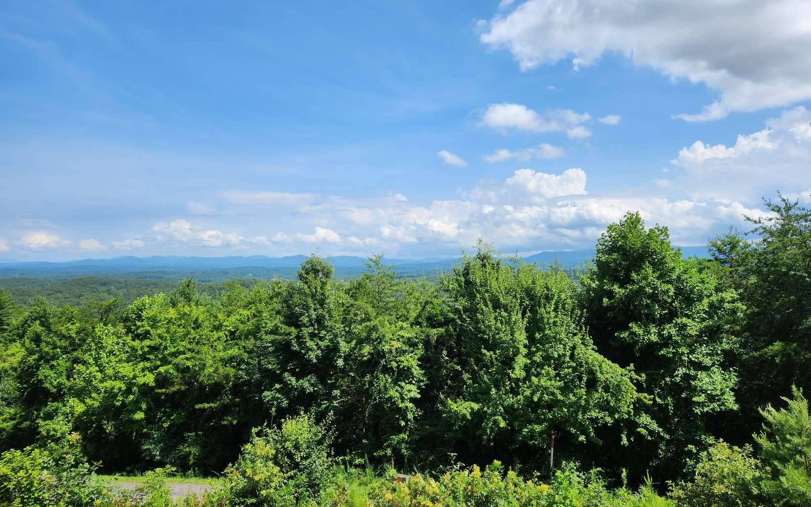 Blue Ridge, GA 30513,0 Lookout Drive