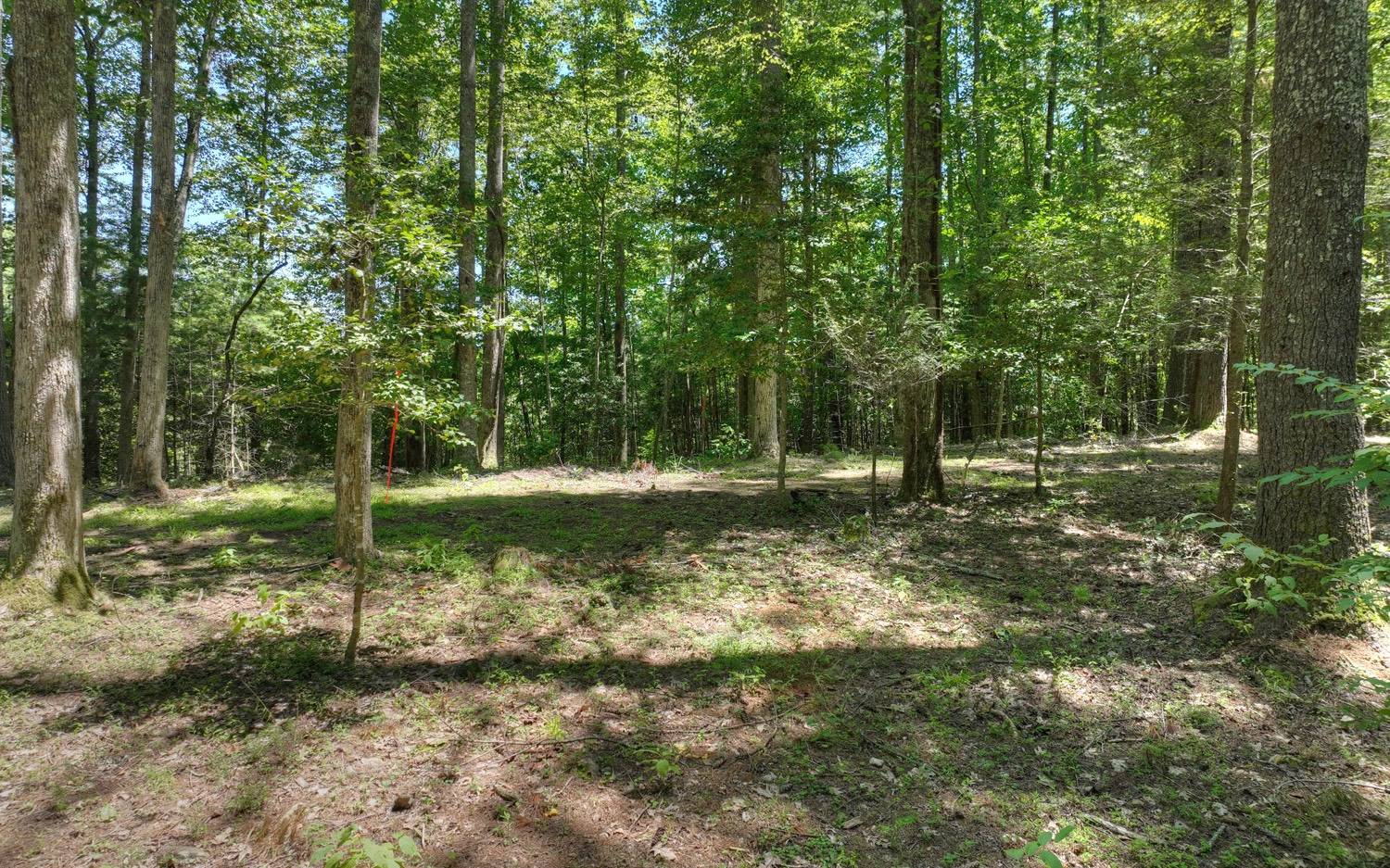 Suches, GA 30572,LT 27 Holly Circle