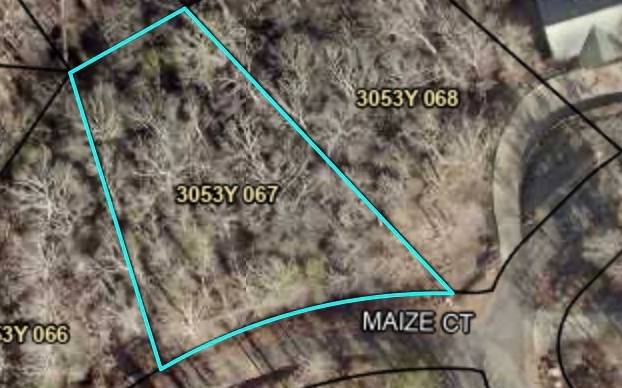 Ellijay, GA 30540,LOT Maize Court