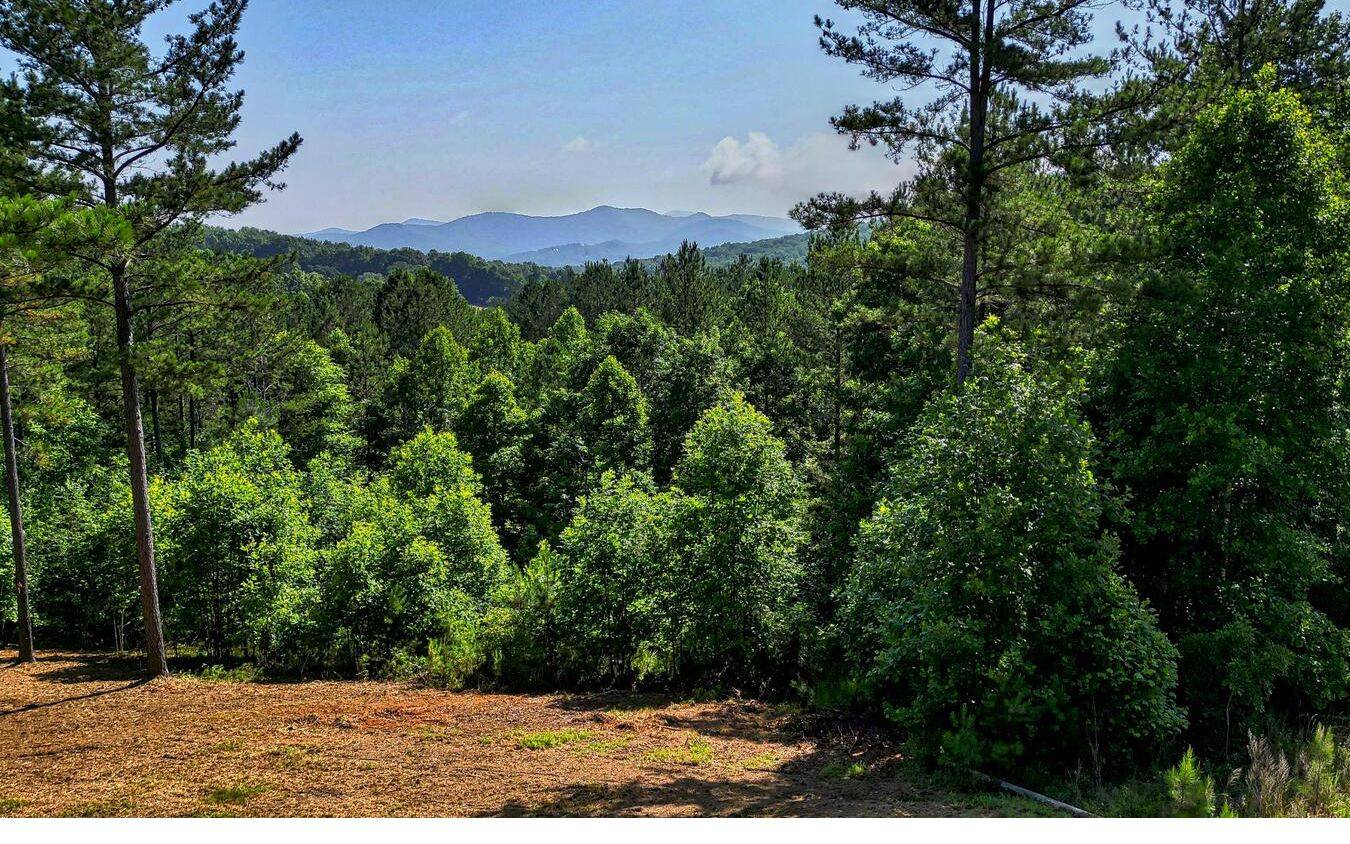 Blairsville, GA 30512,389 Marshall Rise Road