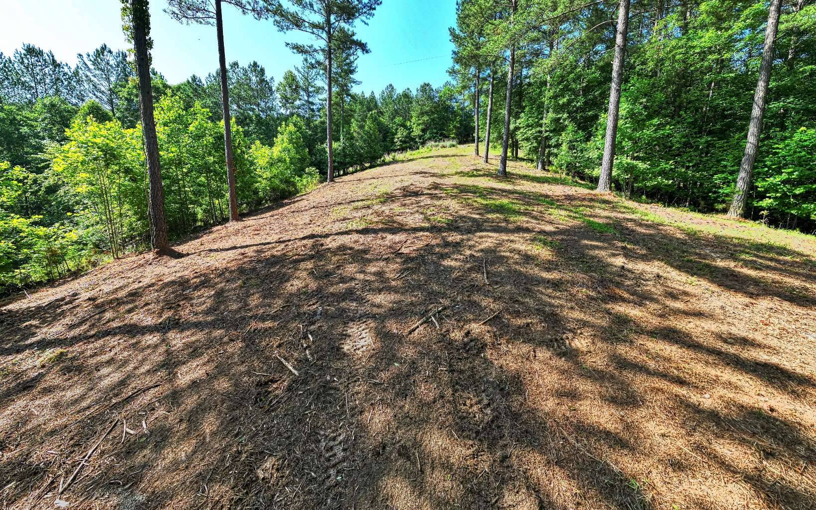 Blairsville, GA 30512,389 Marshall Rise Road